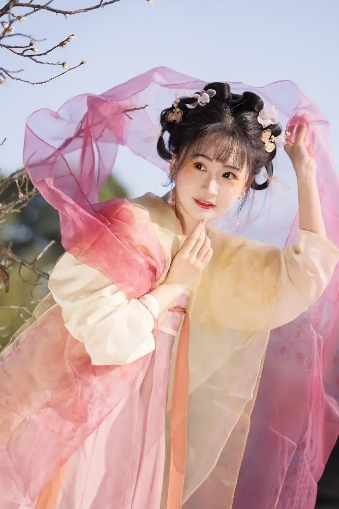 数码宝贝下载数据对比